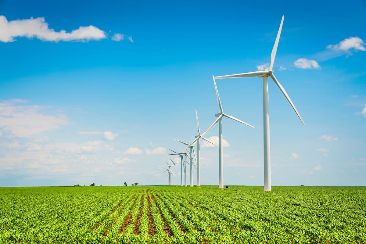 wind turbines in a field