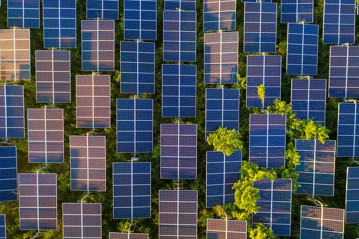 solar panels in a field
