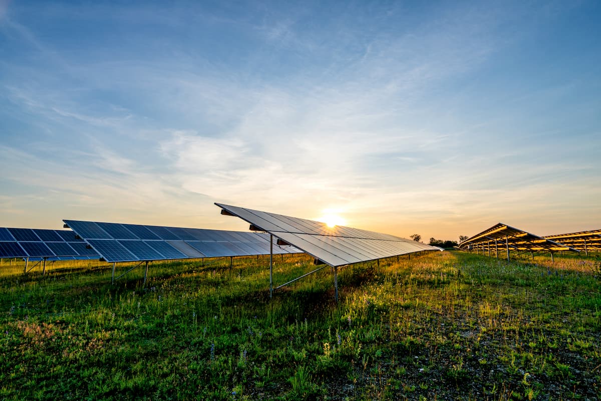 solar panels in a field at sunrise