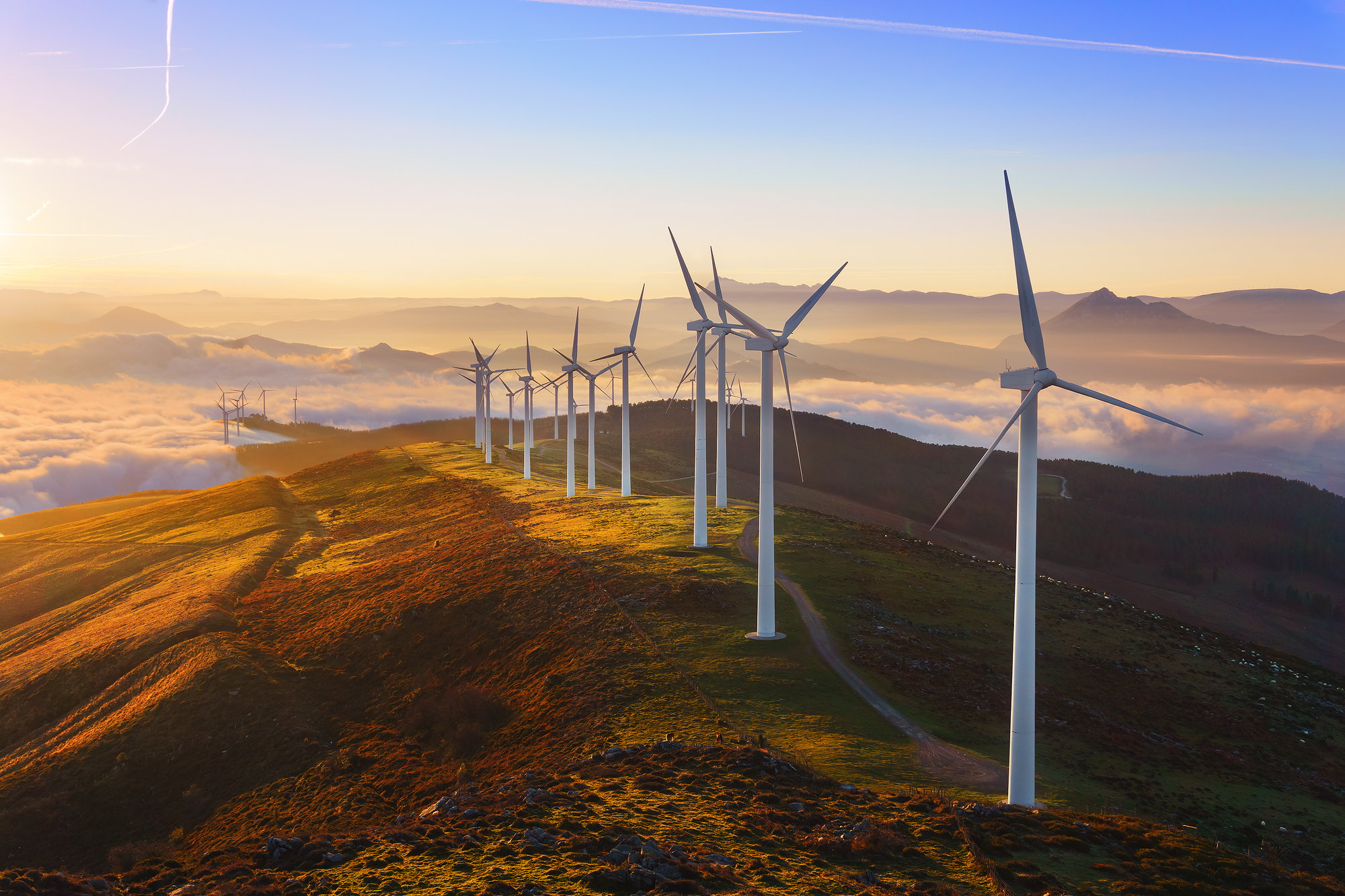 wind farm