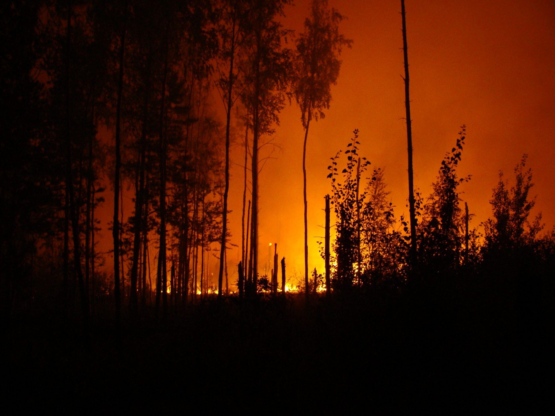 wildfire-2021-08-29-00-56-16-utc-1